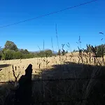 Cabana El Artesano Puyehue