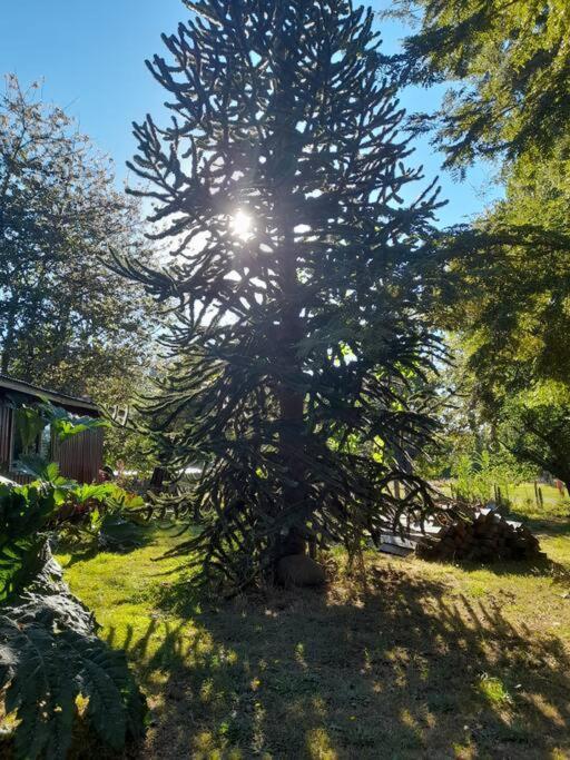 El Artesano Puyehue