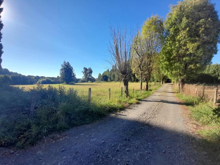 El Artesano Puyehue * Ñilque
